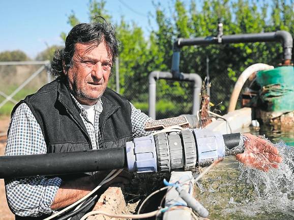 L’aigua del pou duplica la salinitat que aguanta l’avellaner. Foto: Alba Mariné
