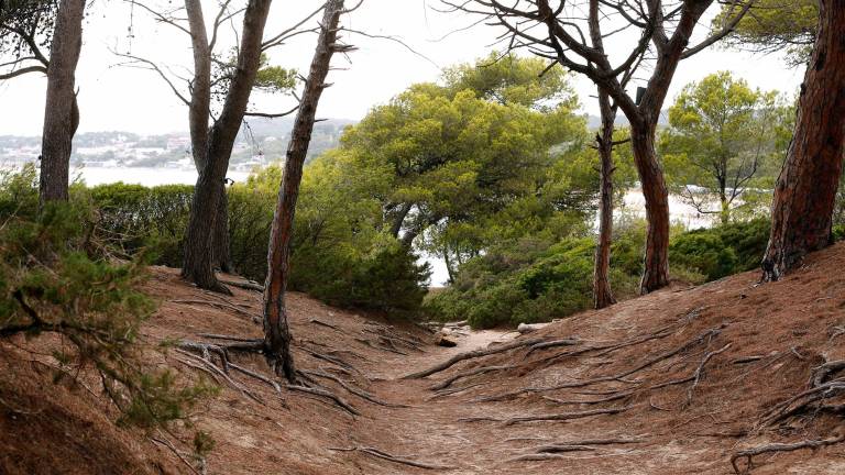 El Bosc de la Marquesa de Tarragona. Foto: Pere Ferré/DT