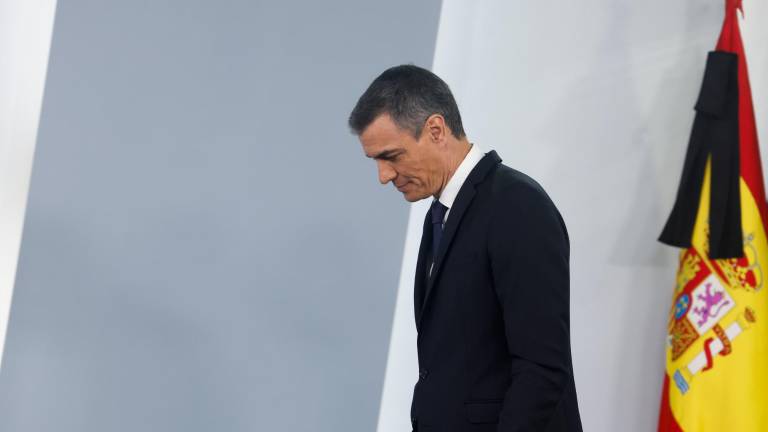 Pedro Sánchez, presidente del Gobierno. Foto: EFE