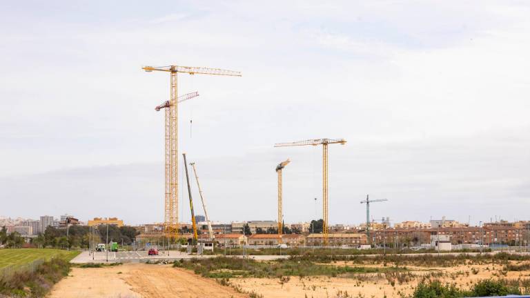 Foto de las gruás en el ámbito del PP10. Foto: Àngel Ullate