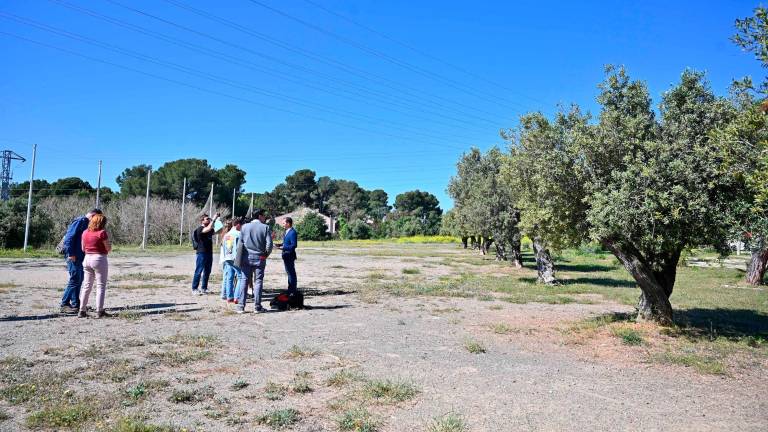El parc es renovarà amb nous arbres i arbustos, a banda d’incentivar la presència de fauna. Fotos: Alfredo González