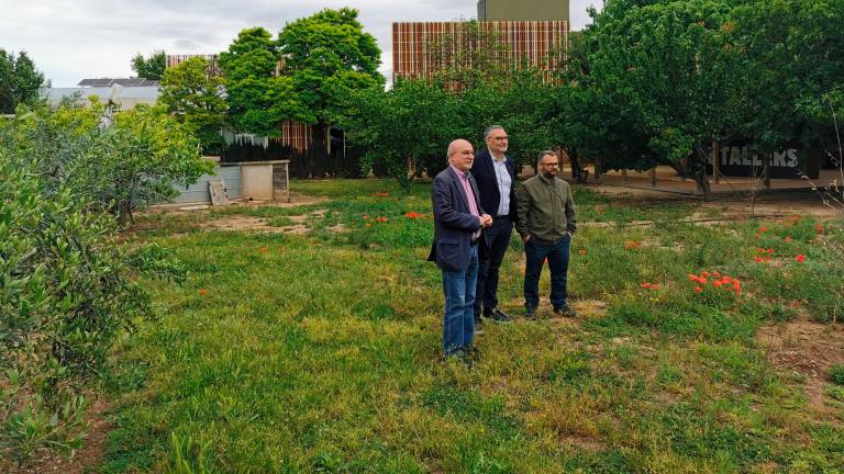 El alcalde Roc Muñoz, el concejal de Cultura Salvador Ferré y el arquitecto municipal Miquel Orellana, en los terrenos donde se construirá el planetario. Al fondo, el Centre de Divulgació de Paleontologia Mammuthus. Foto: Àngel Juanpere